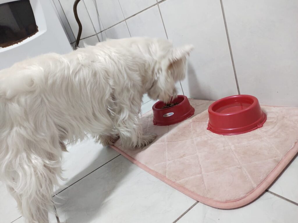 luke ração comendo